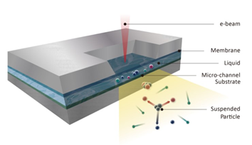 FlowView Aquirius liquid sample chamber for SEM: technical principle scheme