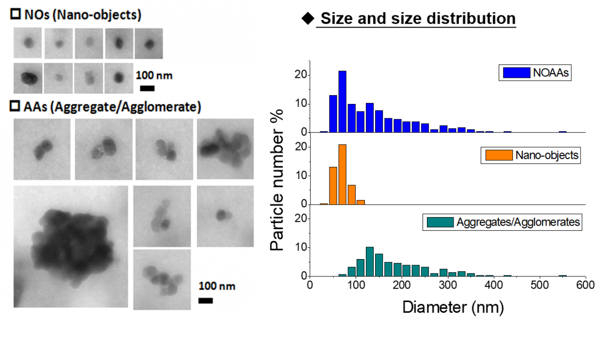 TEM studies of CaCO3 particles in milk