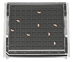 EM-Tec FSB100S FIB lift-out grid storage box with single clip