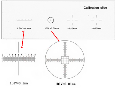 35-M03011.jpg Micro Tec MS33 glass calibration slide, 1 mm cross in 0.01mm divisions +10mm line in 0.1mm divisions + Ø0.15 and Ø0.07mm dots